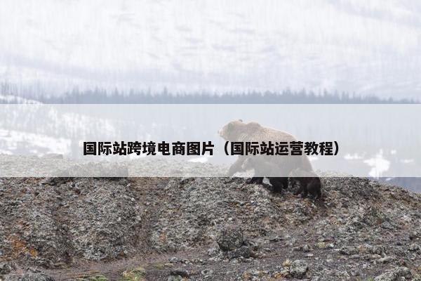 国际站跨境电商图片（国际站运营教程）