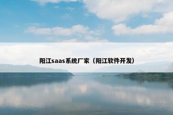 阳江saas系统厂家（阳江软件开发）