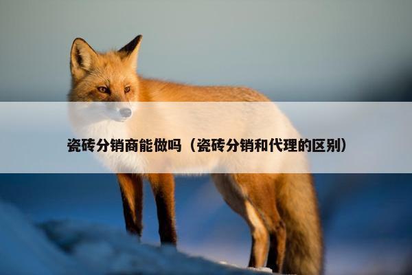 瓷砖分销商能做吗（瓷砖分销和代理的区别）
