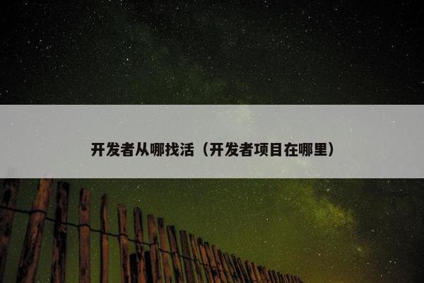 开发者从哪找活（开发者项目在哪里）