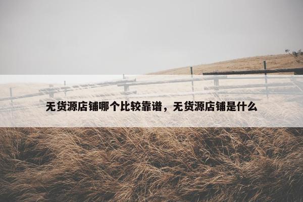 无货源店铺哪个比较靠谱，无货源店铺是什么
