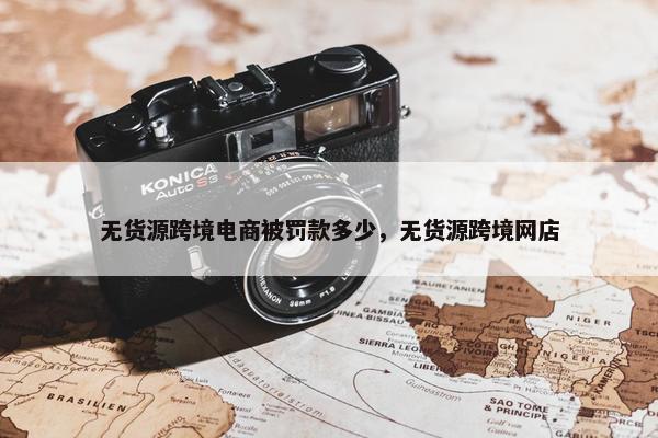 无货源跨境电商被罚款多少，无货源跨境网店