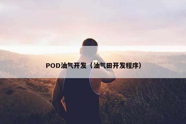 POD油气开发（油气田开发程序）