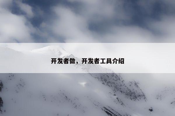 开发者做，开发者工具介绍