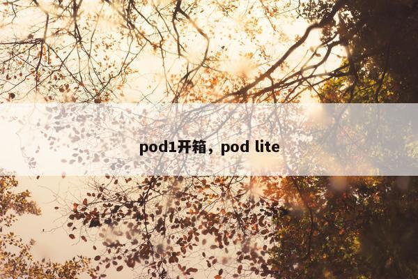 pod1开箱，pod lite