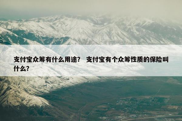 支付宝众筹有什么用途？ 支付宝有个众筹性质的保险叫什么？