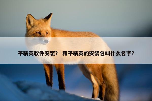 平精英软件安装？ 和平精英的安装包叫什么名字？