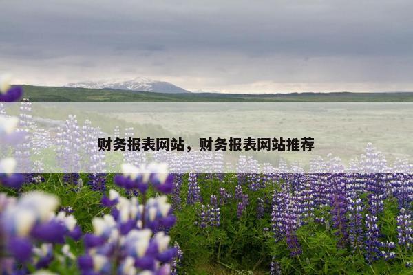 财务报表网站，财务报表网站推荐