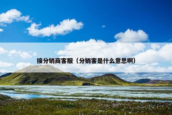 接分销商客服（分销客是什么意思啊）