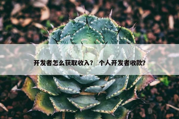 开发者怎么获取收入？ 个人开发者收款？
