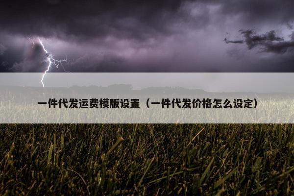 一件代发运费模版设置（一件代发价格怎么设定）