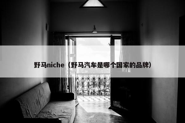 野马niche（野马汽车是哪个国家的品牌）