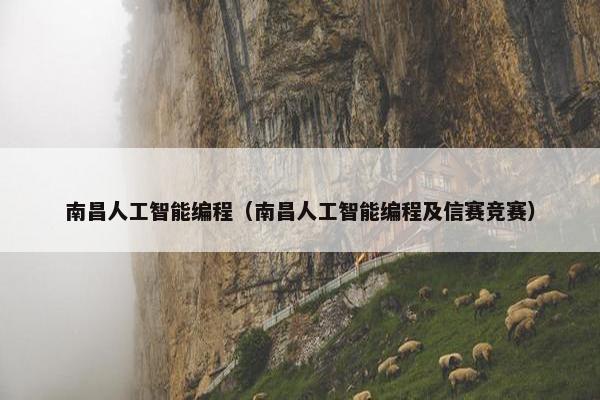 南昌人工智能编程（南昌人工智能编程及信赛竞赛）