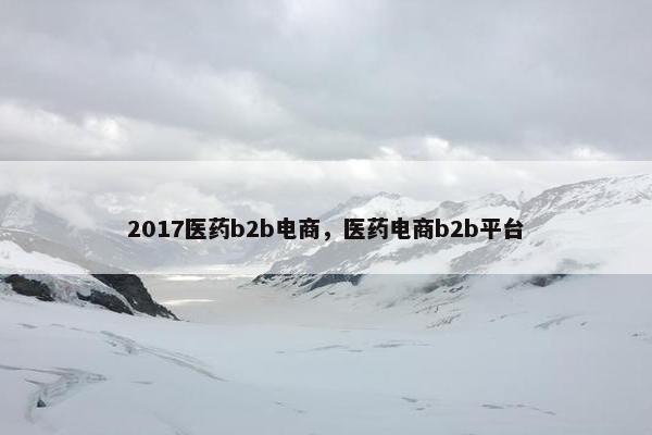 2017医药b2b电商，医药电商b2b平台