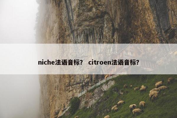 niche法语音标？ citroen法语音标？