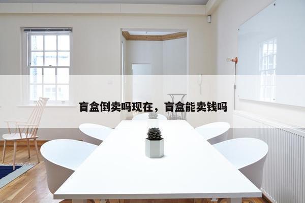 盲盒倒卖吗现在，盲盒能卖钱吗