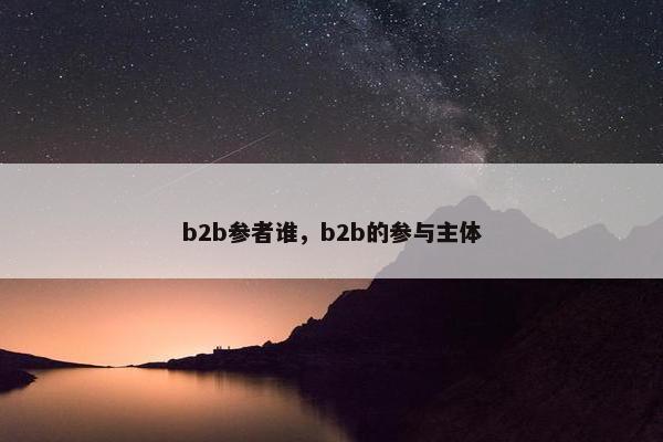 b2b参者谁，b2b的参与主体