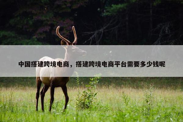 中国搭建跨境电商，搭建跨境电商平台需要多少钱呢