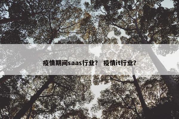 疫情期间saas行业？ 疫情it行业？
