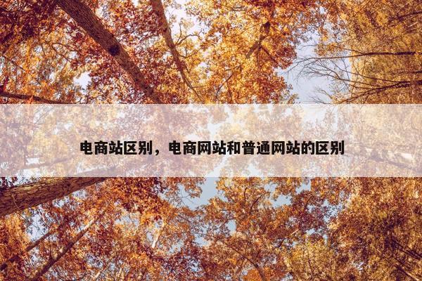 电商站区别，电商网站和普通网站的区别