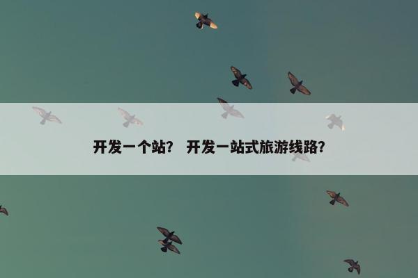 开发一个站？ 开发一站式旅游线路？