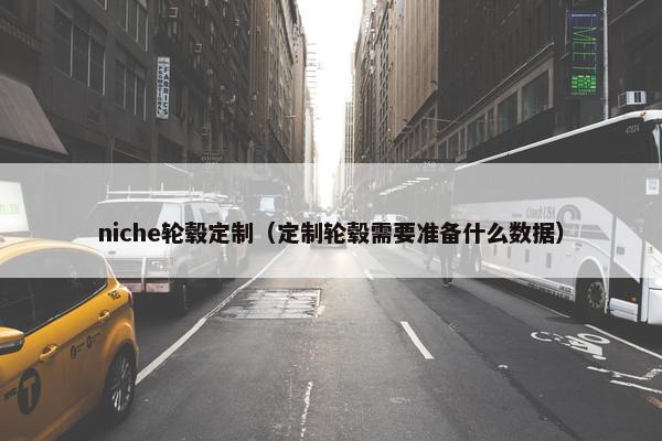 niche轮毂定制（定制轮毂需要准备什么数据）