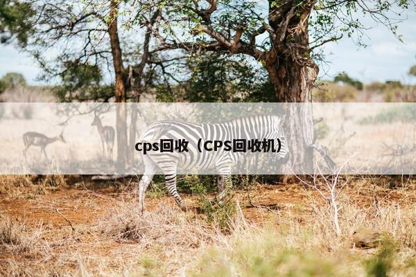 cps回收（CPS回收机）