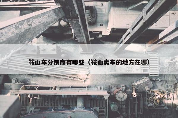 鞍山车分销商有哪些（鞍山卖车的地方在哪）