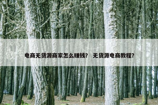 电商无货源商家怎么赚钱？ 无货源电商教程？