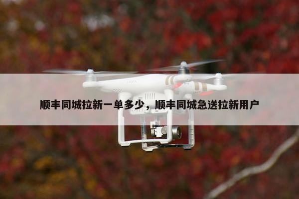 顺丰同城拉新一单多少，顺丰同城急送拉新用户