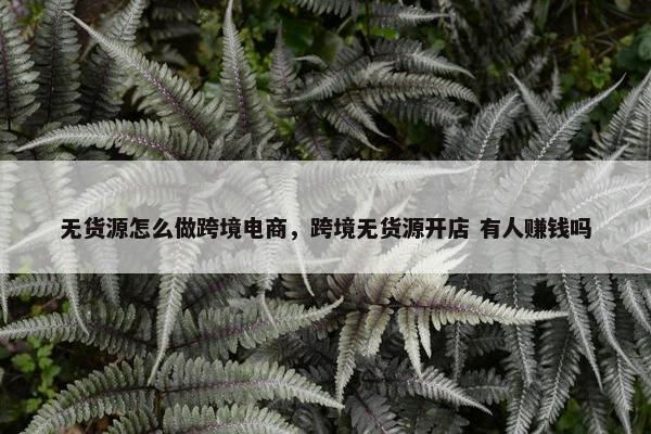 无货源怎么做跨境电商，跨境无货源开店 有人赚钱吗