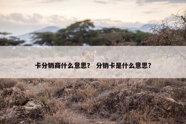 卡分销商什么意思？ 分销卡是什么意思？