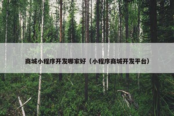 商城小程序开发哪家好（小程序商城开发平台）
