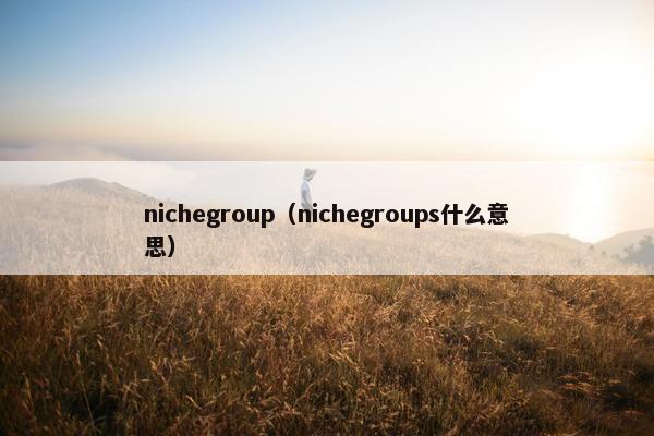 nichegroup（nichegroups什么意思）