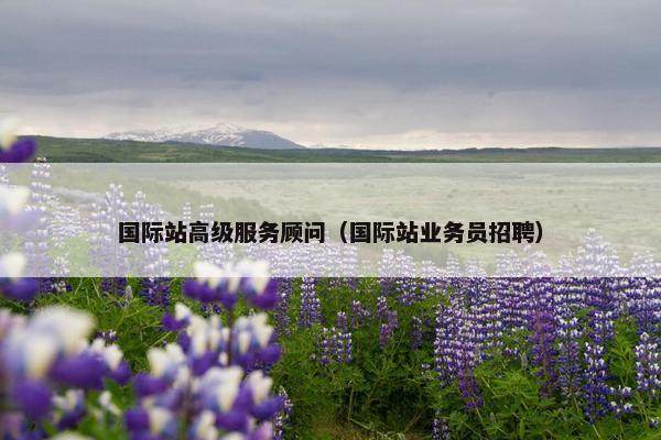 国际站高级服务顾问（国际站业务员招聘）