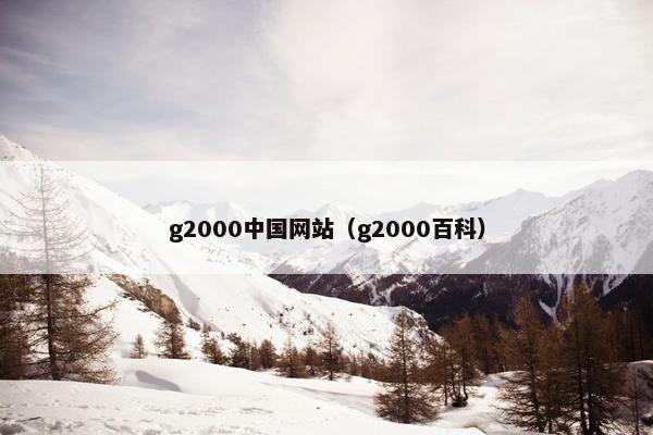 g2000中国网站（g2000百科）