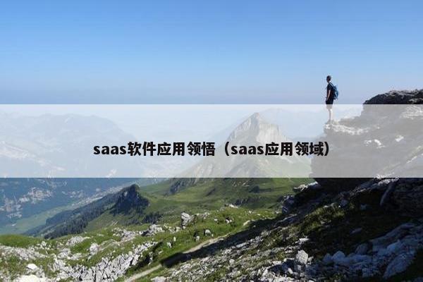 saas软件应用领悟（saas应用领域）