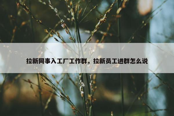 拉新同事入工厂工作群，拉新员工进群怎么说