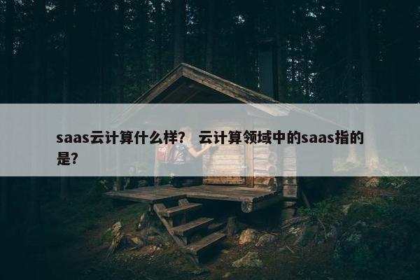 saas云计算什么样？ 云计算领域中的saas指的是？