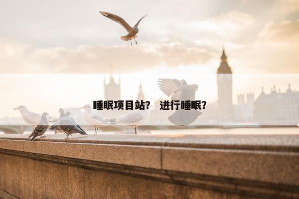 睡眠项目站？ 进行睡眠？