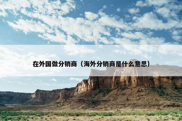 在外国做分销商（海外分销商是什么意思）