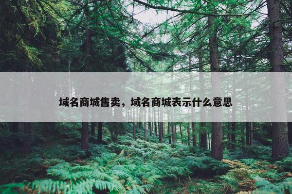 域名商城售卖，域名商城表示什么意思