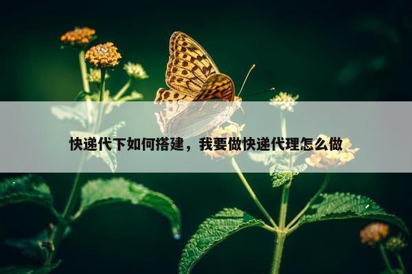 快递代下如何搭建，我要做快递代理怎么做