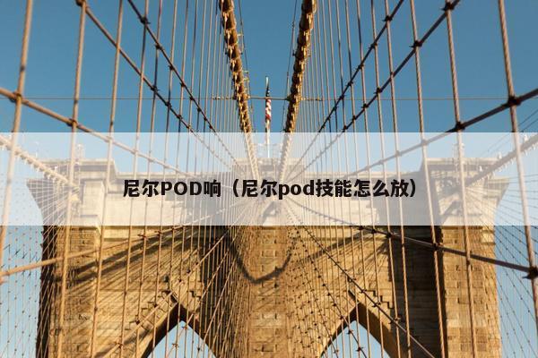 尼尔POD响（尼尔pod技能怎么放）