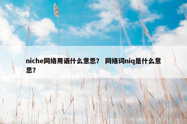 niche网络用语什么意思？ 网络词niq是什么意思？