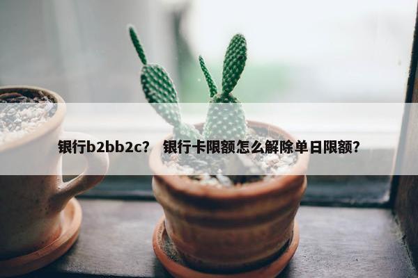 银行b2bb2c？ 银行卡限额怎么解除单日限额？