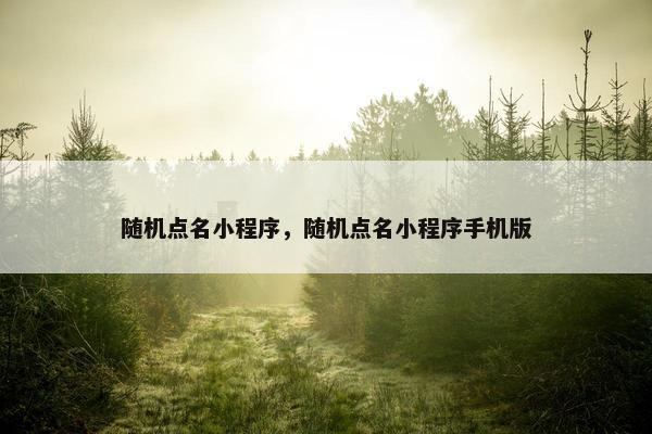 随机点名小程序，随机点名小程序手机版