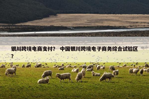 银川跨境电商支付？ 中国银川跨境电子商务综合试验区？