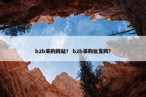 b2b采购网站？ b2b采购批发网？