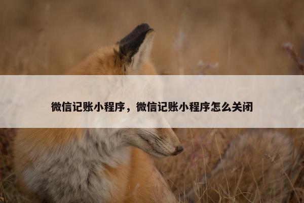 微信记账小程序，微信记账小程序怎么关闭